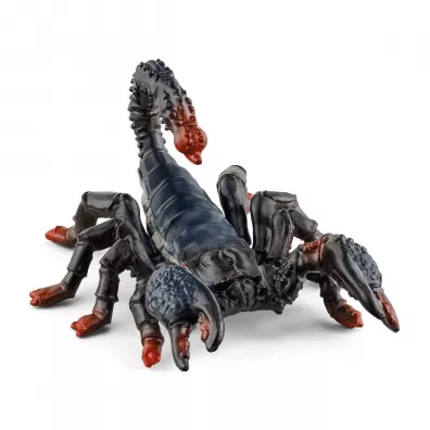 Skorpion cesarskiSLH14857