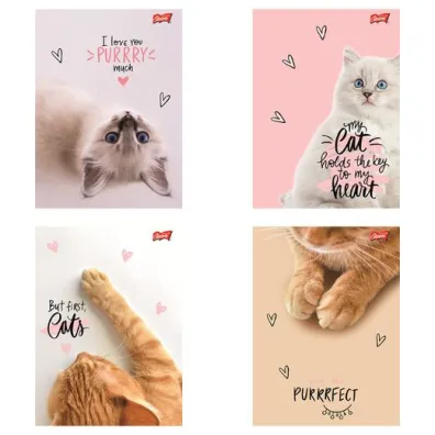 St. Majewski Zeszyt A5 60 kartek kratka. Ok�adka laminowana lakier miejscowy UV 70 g/m2. Purrfect Moments
