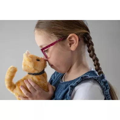 Tw�j pupilek Kotek br�zowy Askato
