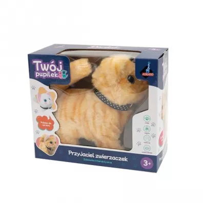 Tw�j pupilek Kotek br�zowy Askato