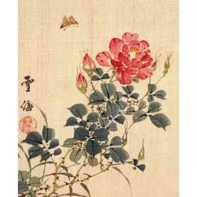 Museums & Galleries Karnet z kopert� Rose and Butterfly