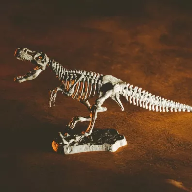 Lisciani Crazy Science Smoki i Dinozaury 304-PL89390