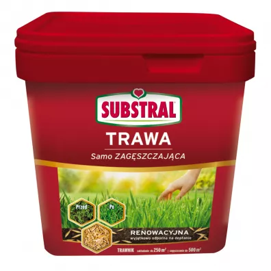 Substral Mieszanka nasion Trawa samozagszczajca do renowacji trawnika 5 kg