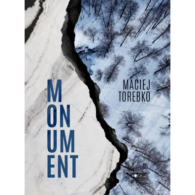 Momentum - Maciej Torebko