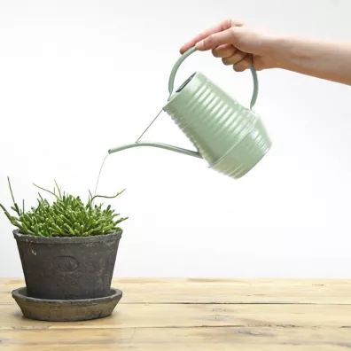 Esschert Design Ozdobna konewka seledynowa 1 l