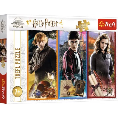 Puzzle 200 el. W wiecie magii i czarw Trefl