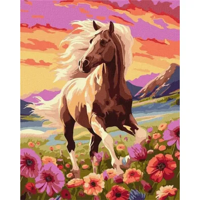 Ideyka Malowanie po numerach - Pe�en gracji ko� 40x50cm