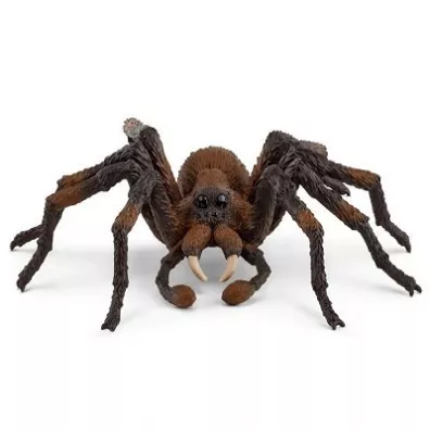 Aragog SLH13987