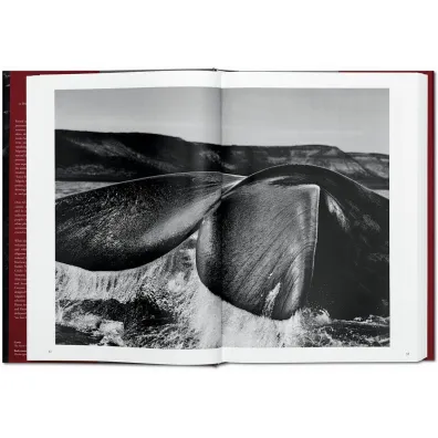 Sebastiao Salgado. Genesis wer. angielska