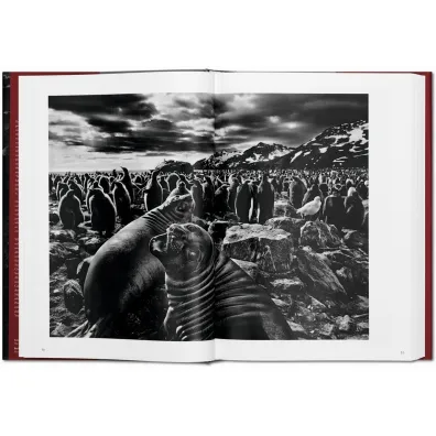 Sebastiao Salgado. Genesis wer. angielska