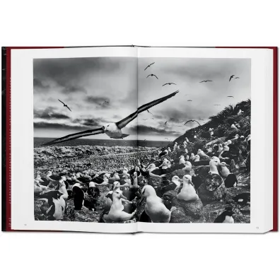 Sebastiao Salgado. Genesis wer. angielska