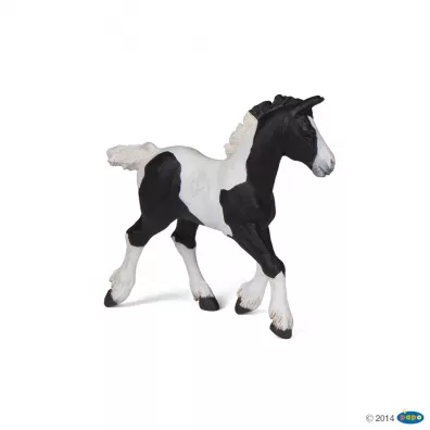 �rebi� Pinto