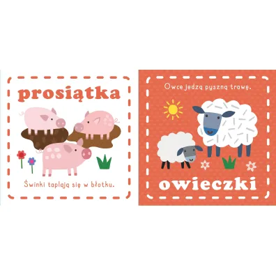 KSIAZECZKA EDUK 150X150 PRZYTULANKA WIES AWM