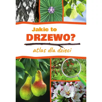 Atlas dla dzieci. Jakie to drzewo? - Aleksandra Halarewicz