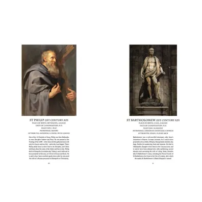 Saints Illustrated [Chinese Bound]