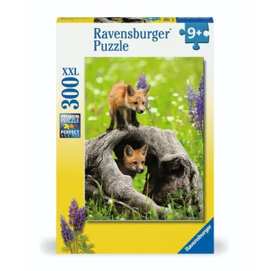 Puzzle 300 Curious Foxes Ravensburger