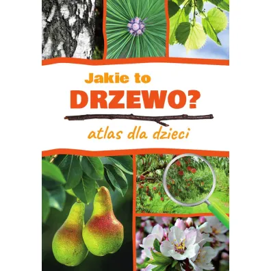 Jakie to drzewo? Atlas dla dzieci - Aleksandra Halarewicz