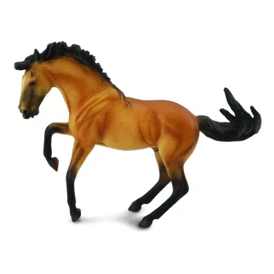 Ogier Lusitano Buckskin