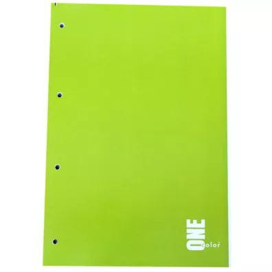 Interdruk Ko�ozeszyt A4 One Color kratka 100 kartek