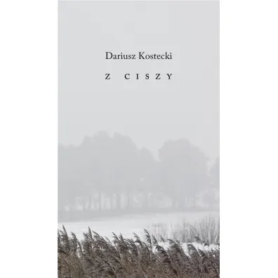 Z ciszy - Dariusz  Kostecki