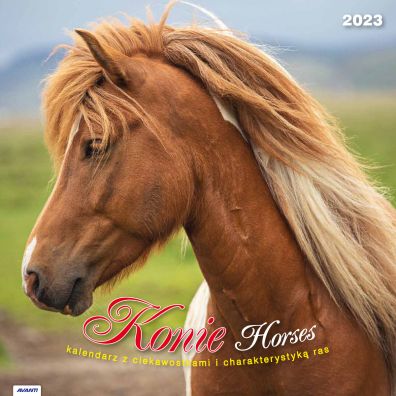 Kalendarz 2023 cienny Konie z ciekawostkami KAD11