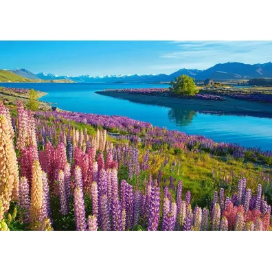 Puzzle 500 el. Lake Tekapo, New Zealand Castorland