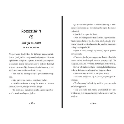 Detektywi z podstaw�wki. Tajemnica kierowcy Og�rka