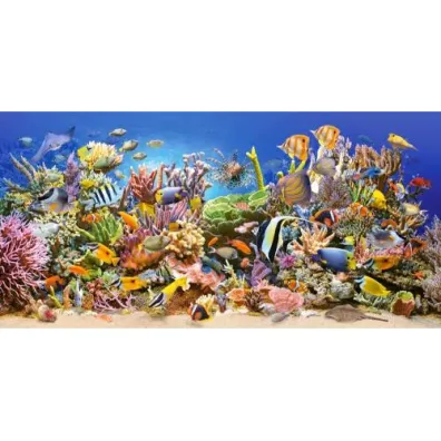 Puzzle 4000 el. Underwater Life Castorland