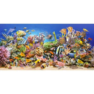 Puzzle 4000 el. Underwater Life Castorland