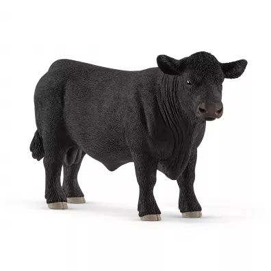 Aberdeen Angus