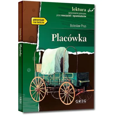 Plac�wka
