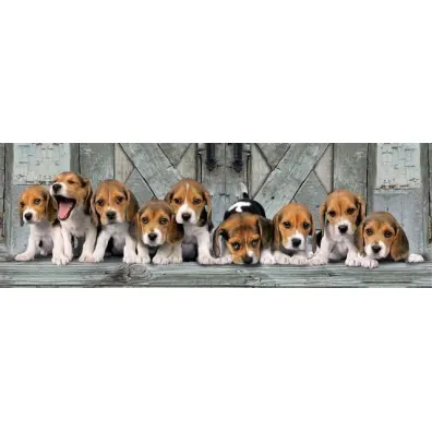 Puzzle 1000 el. Panorama HQ - Beagle Clementoni