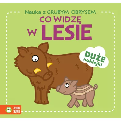 Co widz� w lesie. Nauka z grubym obrysem
