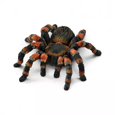 Tarantula SLH14829