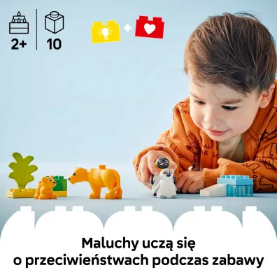 LEGO DUPLO Town Rodziny dzikich zwierz�t: pingwiny i lwy 10442