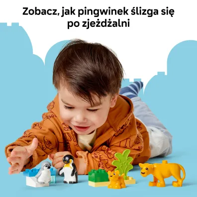 LEGO DUPLO Town Rodziny dzikich zwierz�t: pingwiny i lwy 10442