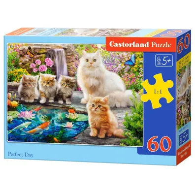 Puzzle 60 Perfect Day CASTOR Castorland