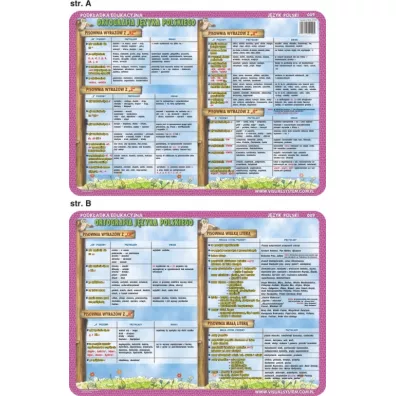 Visual System Podk�adka edukacyjna. Ortografia: ch, h, rz, �, �