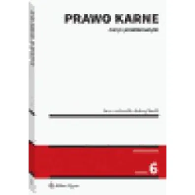 Prawo karne. Zarys problematyki (wyd. 6)