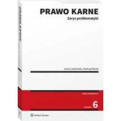 Prawo karne. Zarys problematyki (wyd. 6)