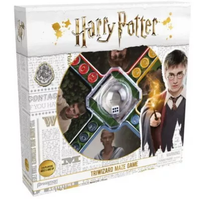Harry Potter Triwizard Maze Game
