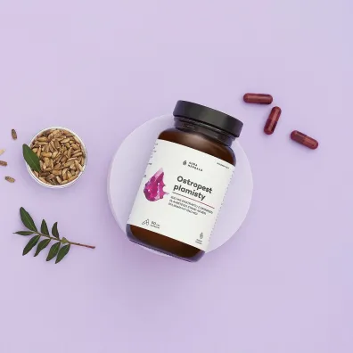 Aura Herbals Ostropest plamisty, 80% Sylimaryny Suplement diety 90 kaps.