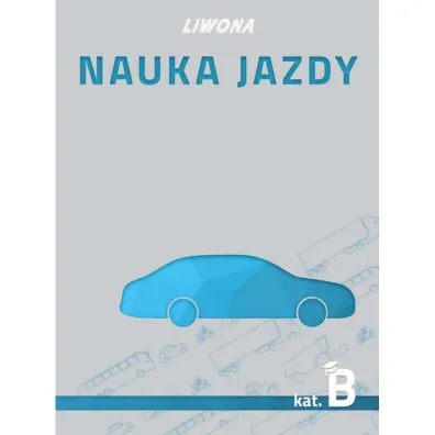 Nauka jazdy. Kategoria B - Marek Tomaszewski, Mariusz Wasiak, Zbigniew Papuga