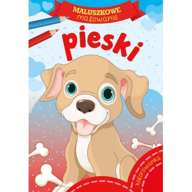 Pakiet dla przedszkolaka. Maluszkowe malowanie: Zabawki, Ptaki, Pieski, Owoce + Kredki Bambino