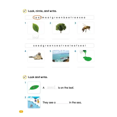 School Phonics 4. Workbook