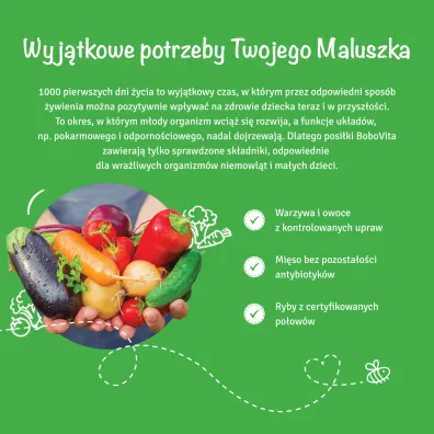 BoboVita Obiadek Potrawka z kurczakiem i szpinakiem po 12 miesi�cu 250 g