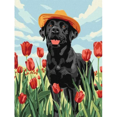 Ideyka Malowanie po numerach - Uroczy labrador 30x40cm