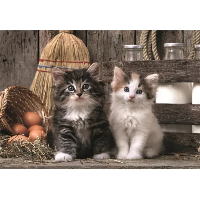 Puzzle 1000 el. Lovely Kittens Clementoni