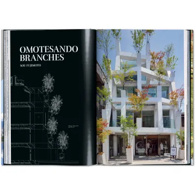 Contemporary Japanese Architecture wer. angielska