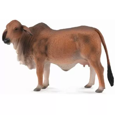 Krowa czerwona brahman L